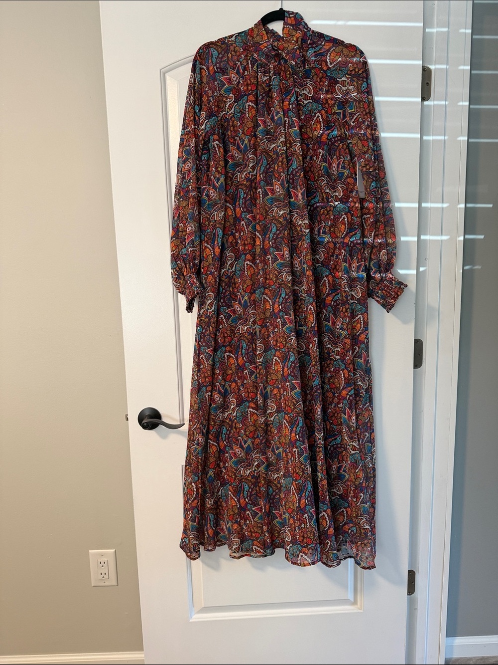 Red Dress Long Sleeve Paisley Maxi Dress in Multicolor